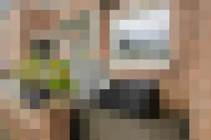 Zwanenkamp 888 Maarssen thumbnail 28