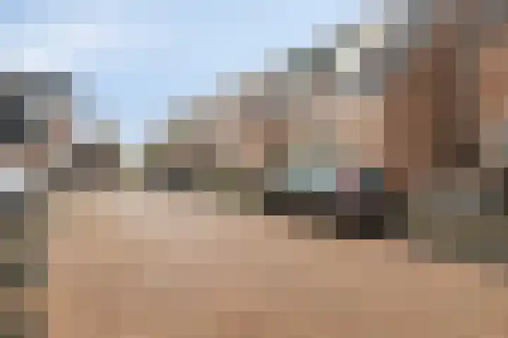 Zwanenkamp 888 Maarssen thumbnail 30