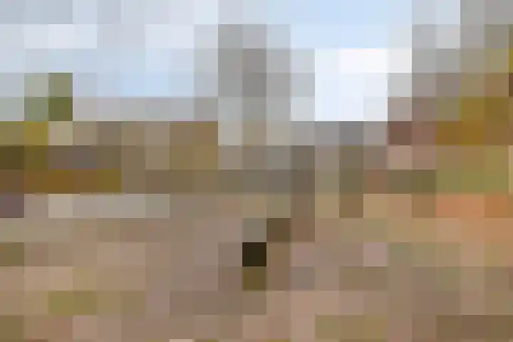 Zwanenkamp 888 Maarssen thumbnail 32