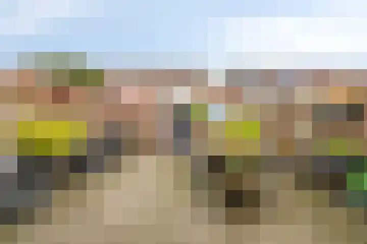 Zwanenkamp 888 Maarssen thumbnail 4