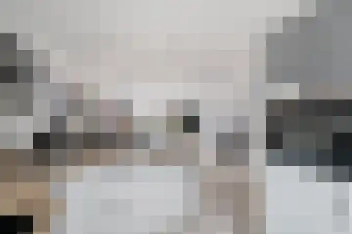 Zwanenkamp 888 Maarssen thumbnail 7