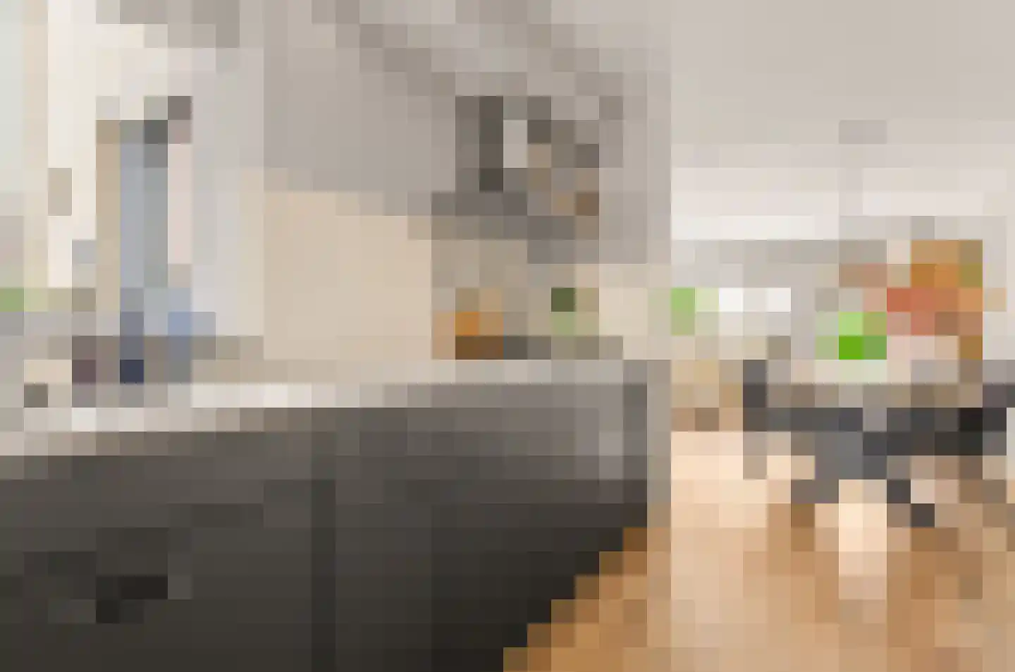Zwanenkamp 907 Maarssen thumbnail 14