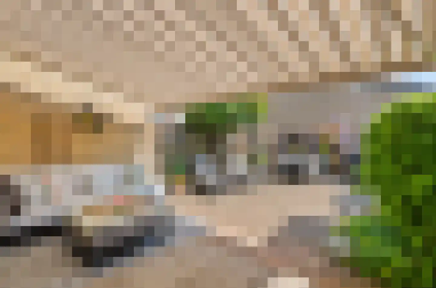 Zwanenkamp 907 Maarssen thumbnail 6