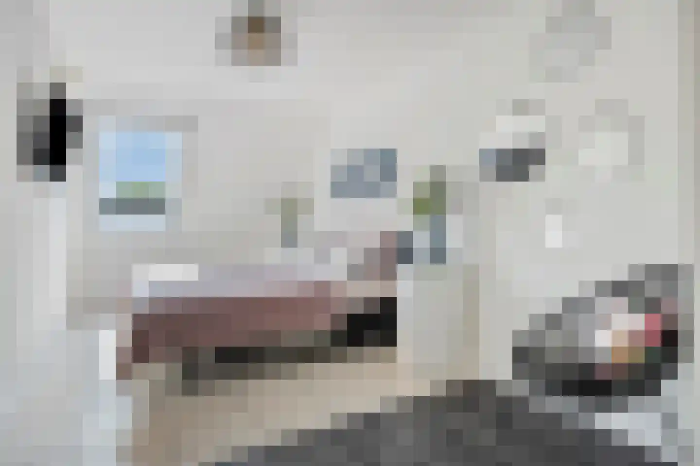 Zwanenkamp 909 Maarssen thumbnail 18