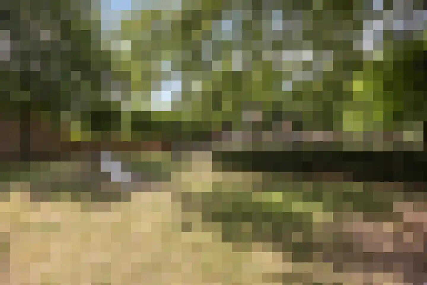 Zwanenkamp 909 Maarssen thumbnail 36