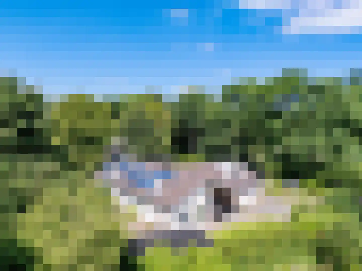 Zwanenlaan 10 Veere foto 2