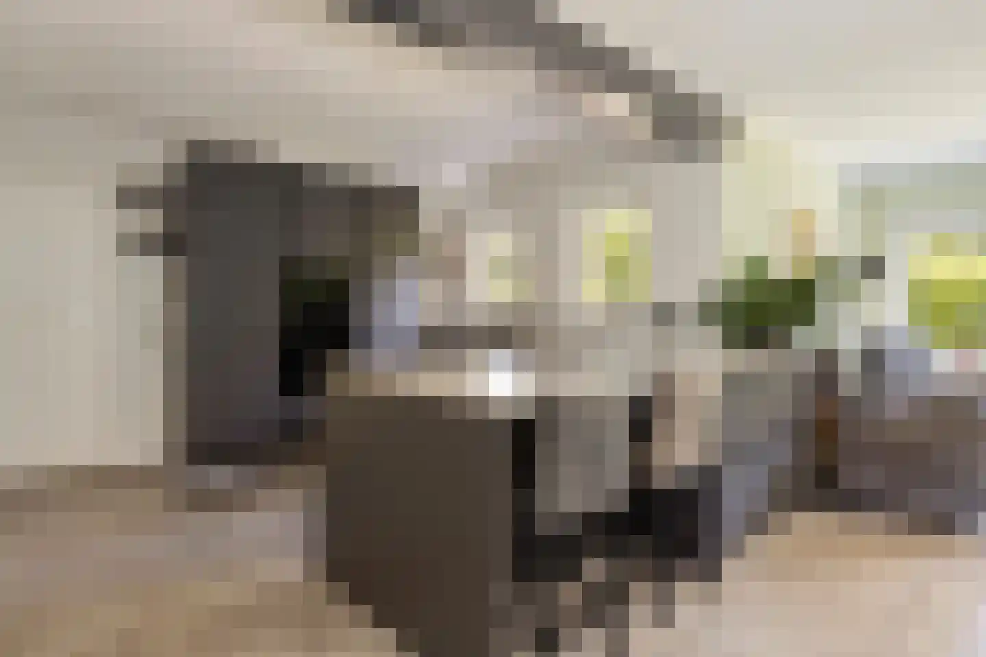 Zwanenlaan 10 Veere thumbnail 20