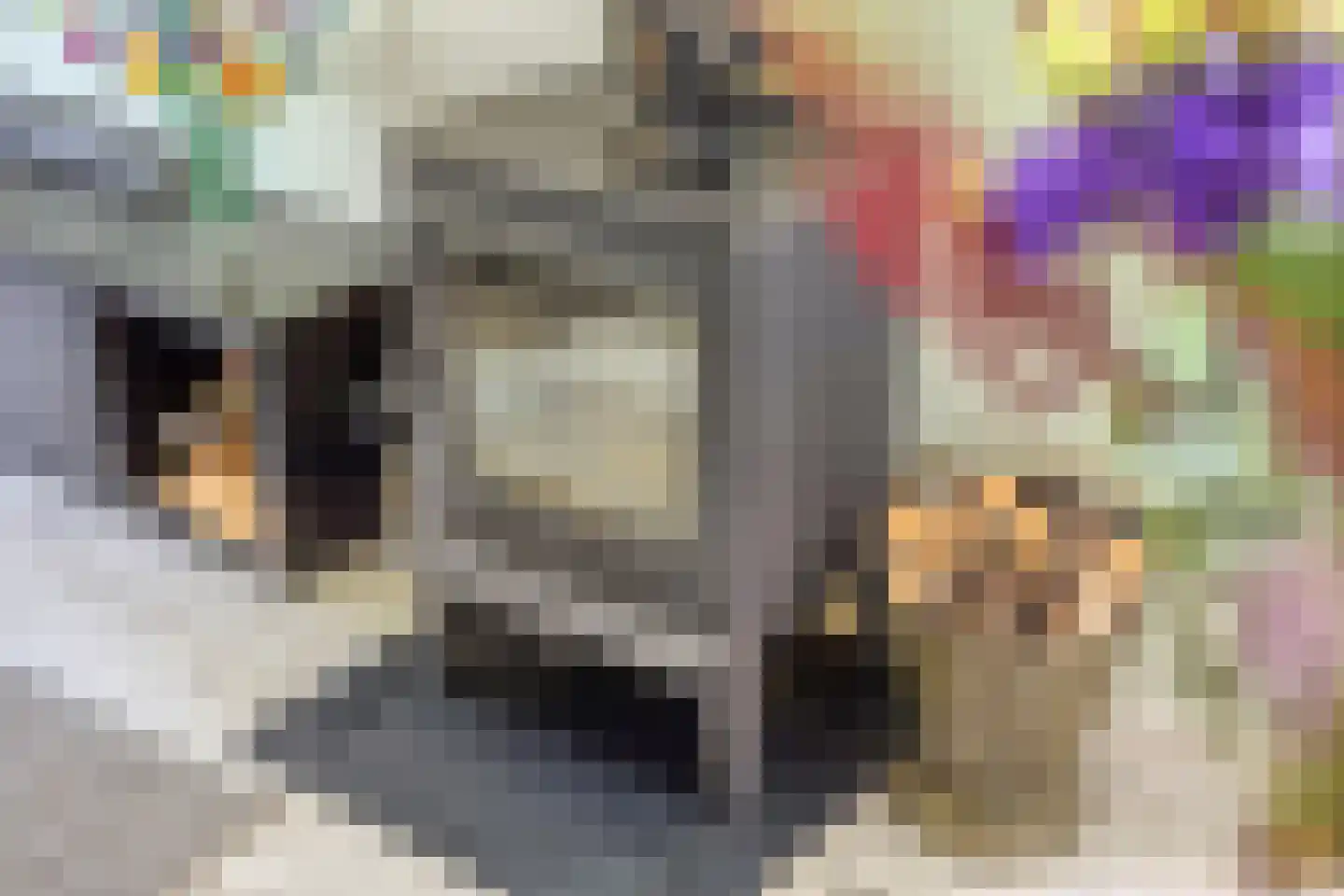 Zwanenlaan 10 Veere thumbnail 22