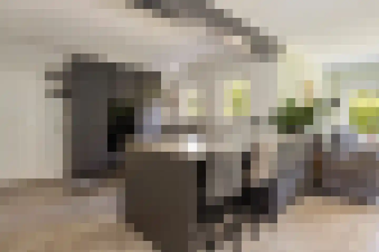 Zwanenlaan 10 Veere thumbnail 22