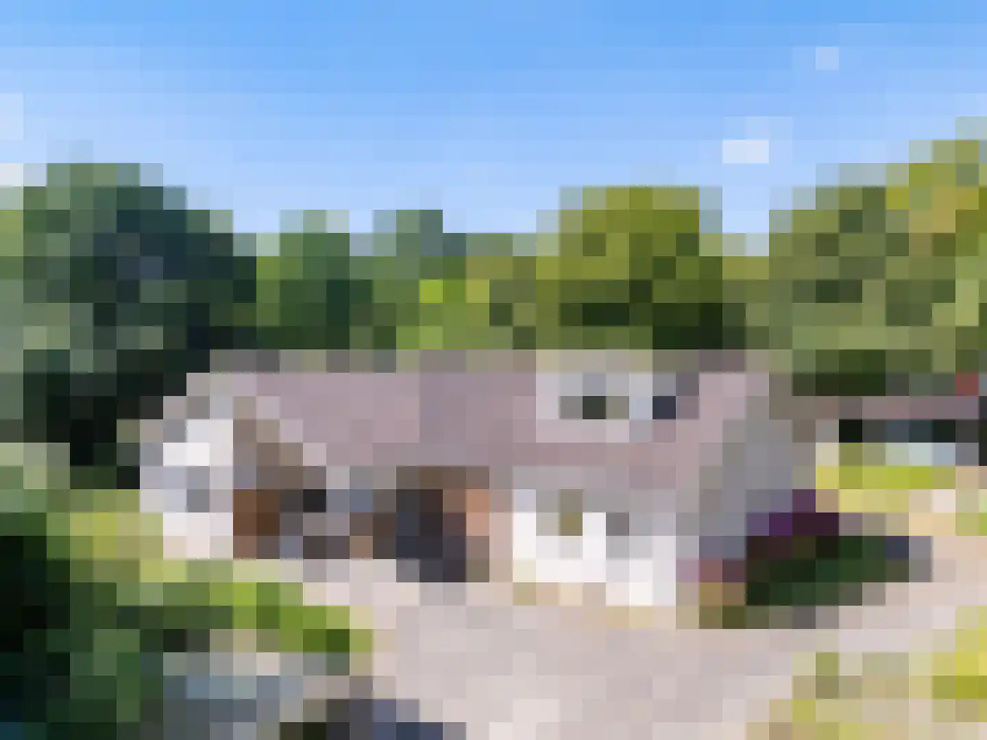 Zwanenlaan 10 Veere thumbnail 40