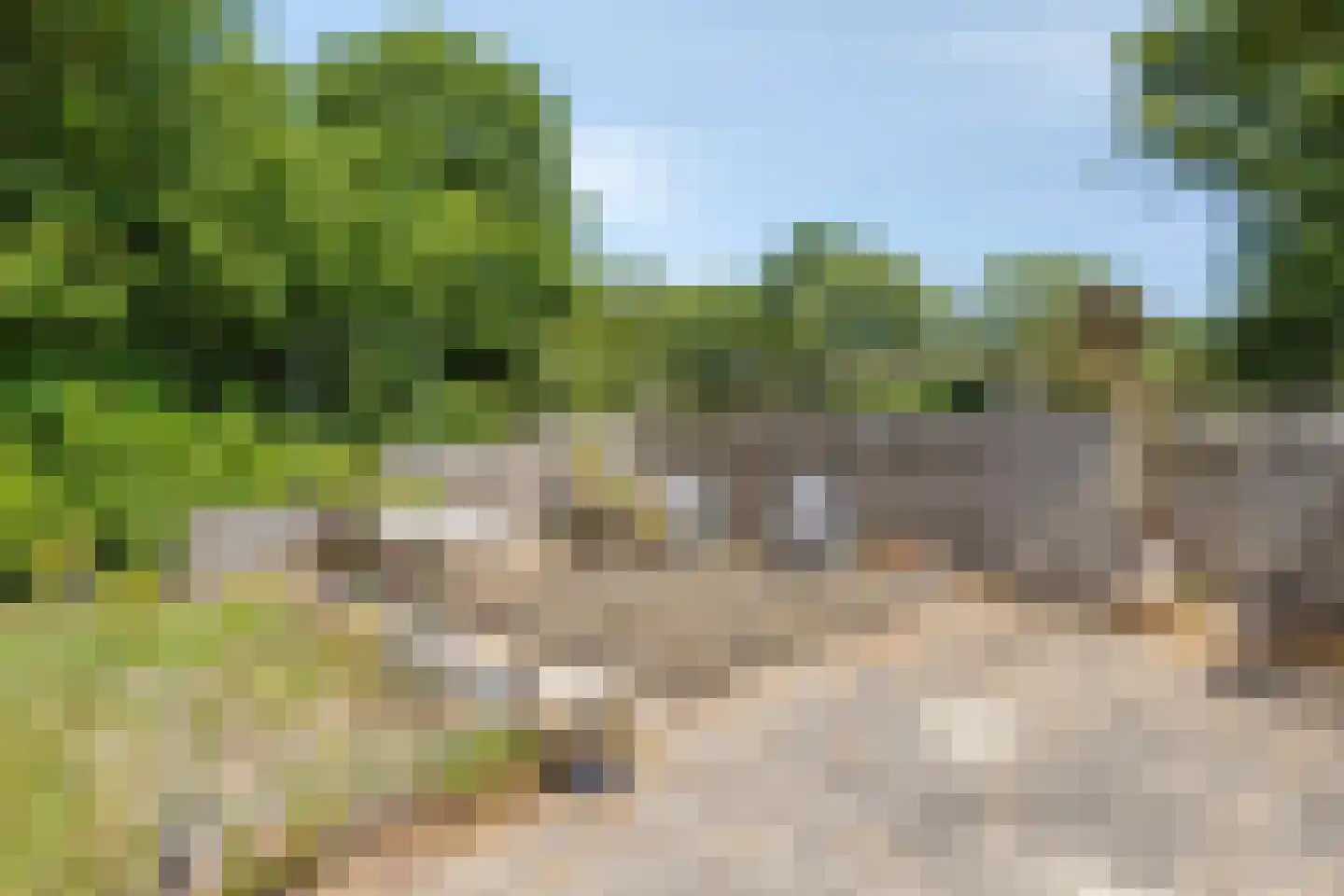 Zwanenlaan 10 Veere thumbnail 43