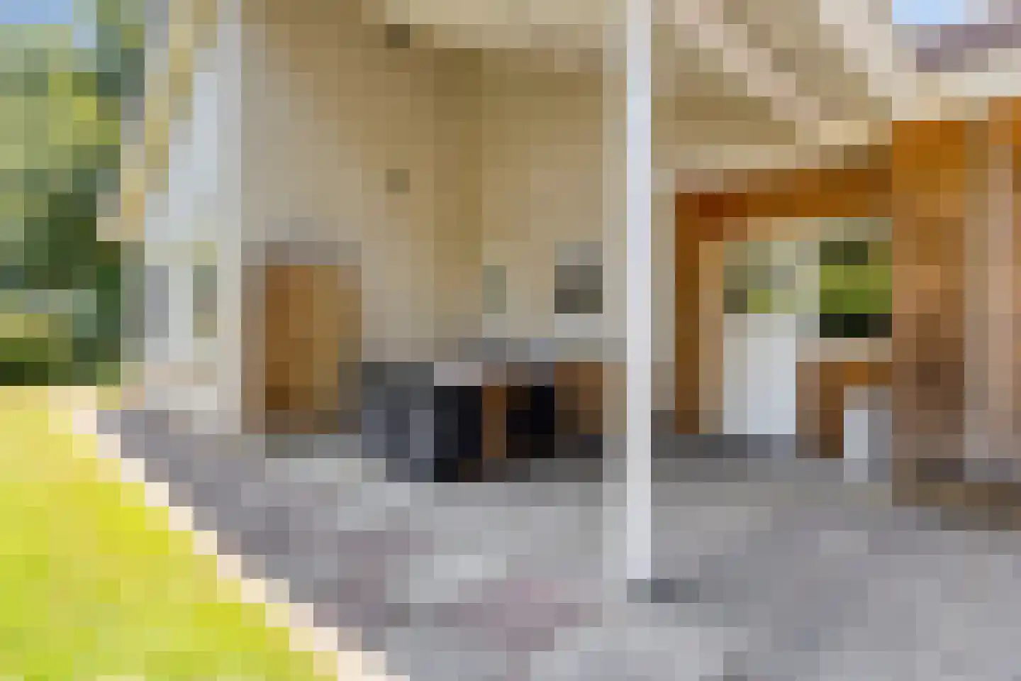 Zwanenlaan 10 Veere thumbnail 46