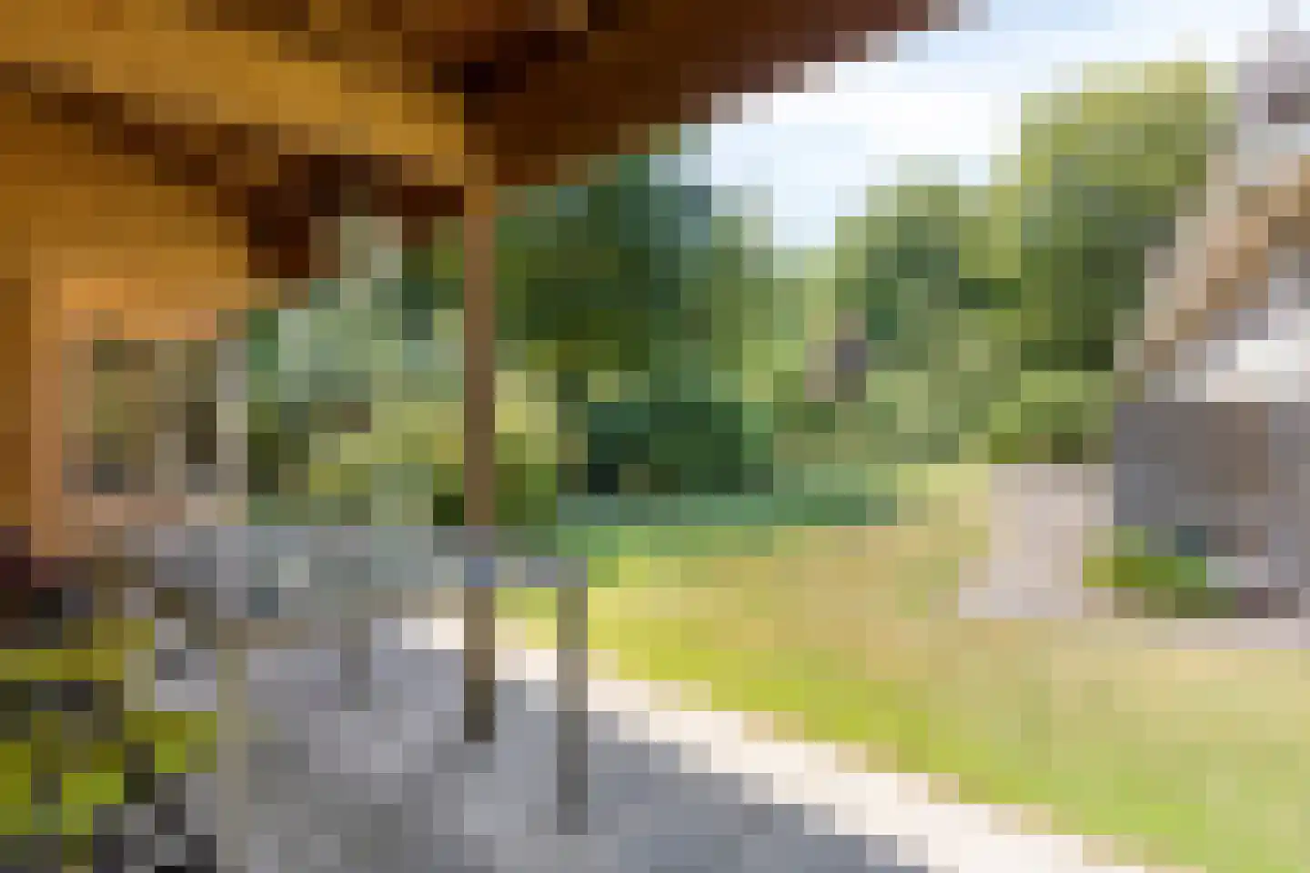 Zwanenlaan 10 Veere thumbnail 48