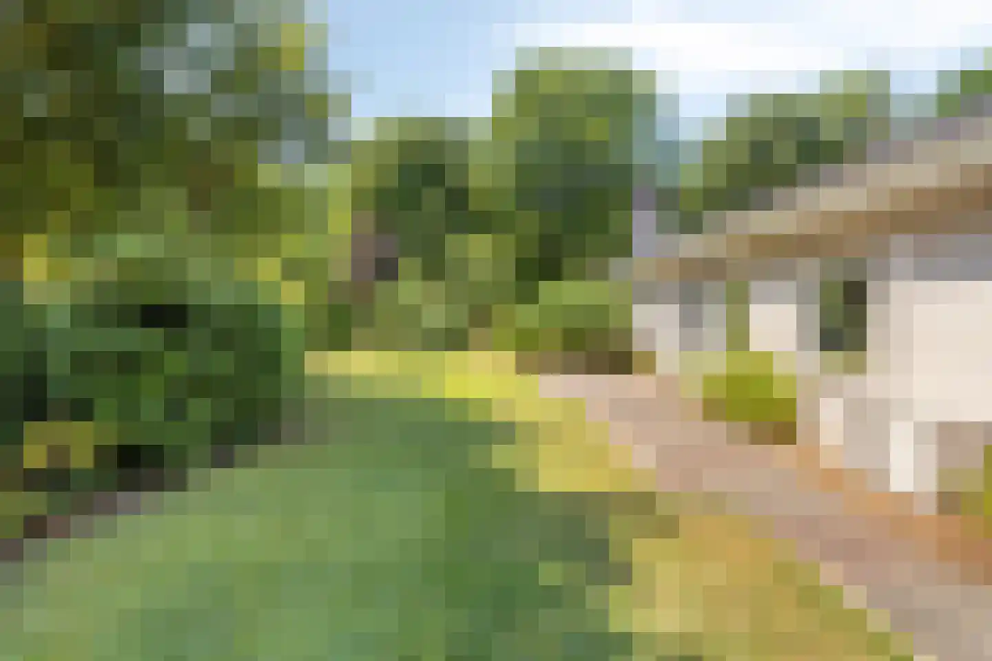 Zwanenlaan 10 Veere thumbnail 49