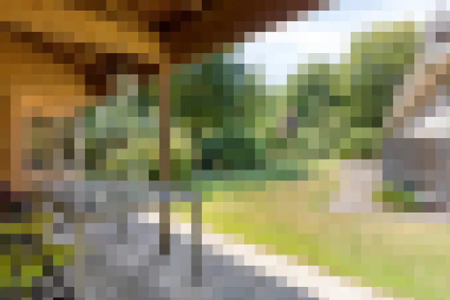 Zwanenlaan 10 Veere thumbnail 51