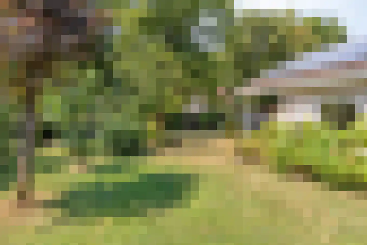 Zwanenlaan 10 Veere thumbnail 52