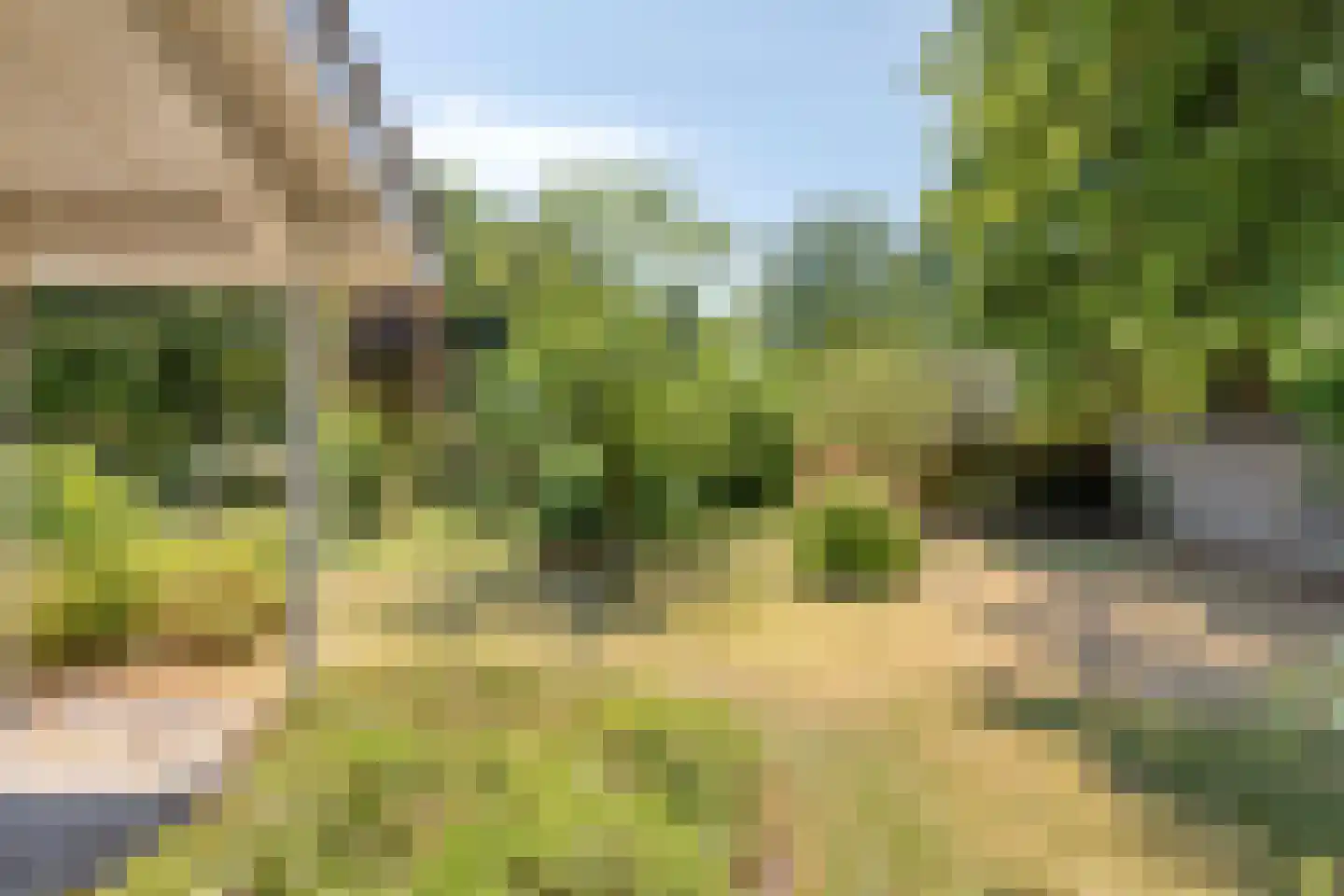 Zwanenlaan 10 Veere thumbnail 53
