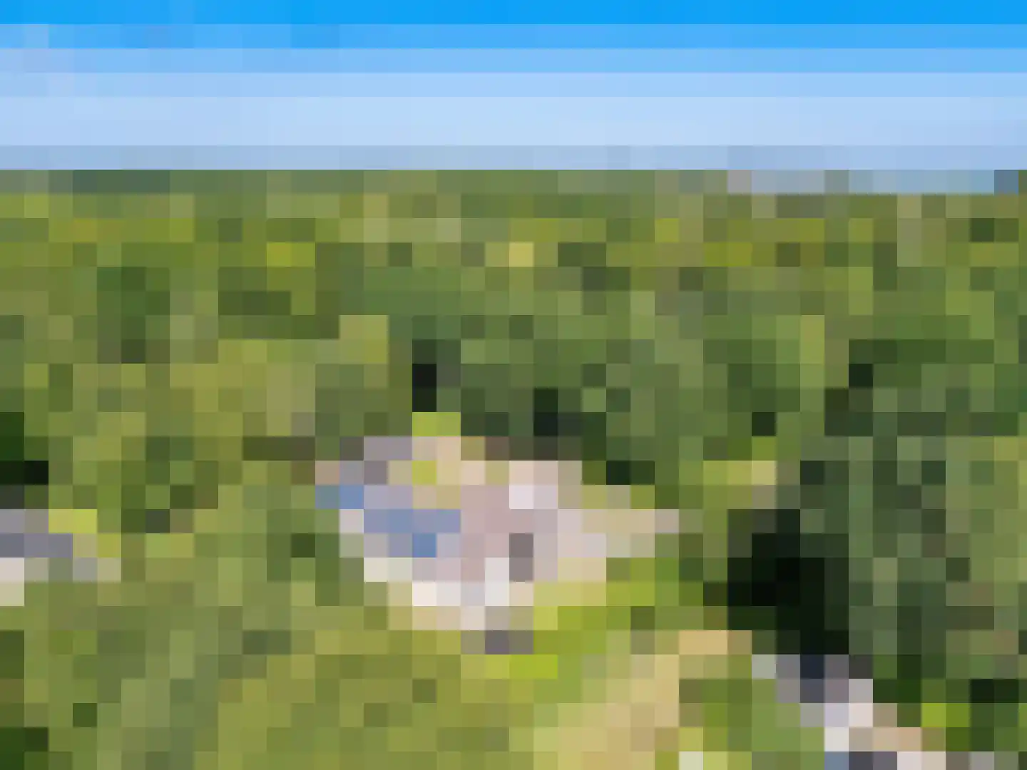 Zwanenlaan 10 Veere thumbnail 58