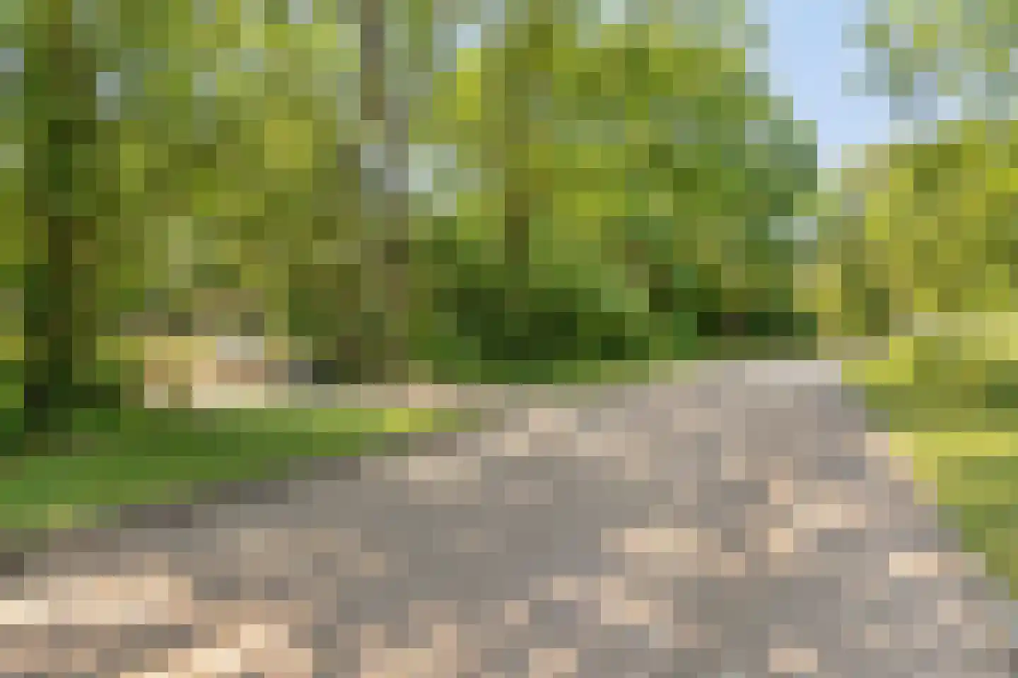 Zwanenlaan 10 Veere thumbnail 59