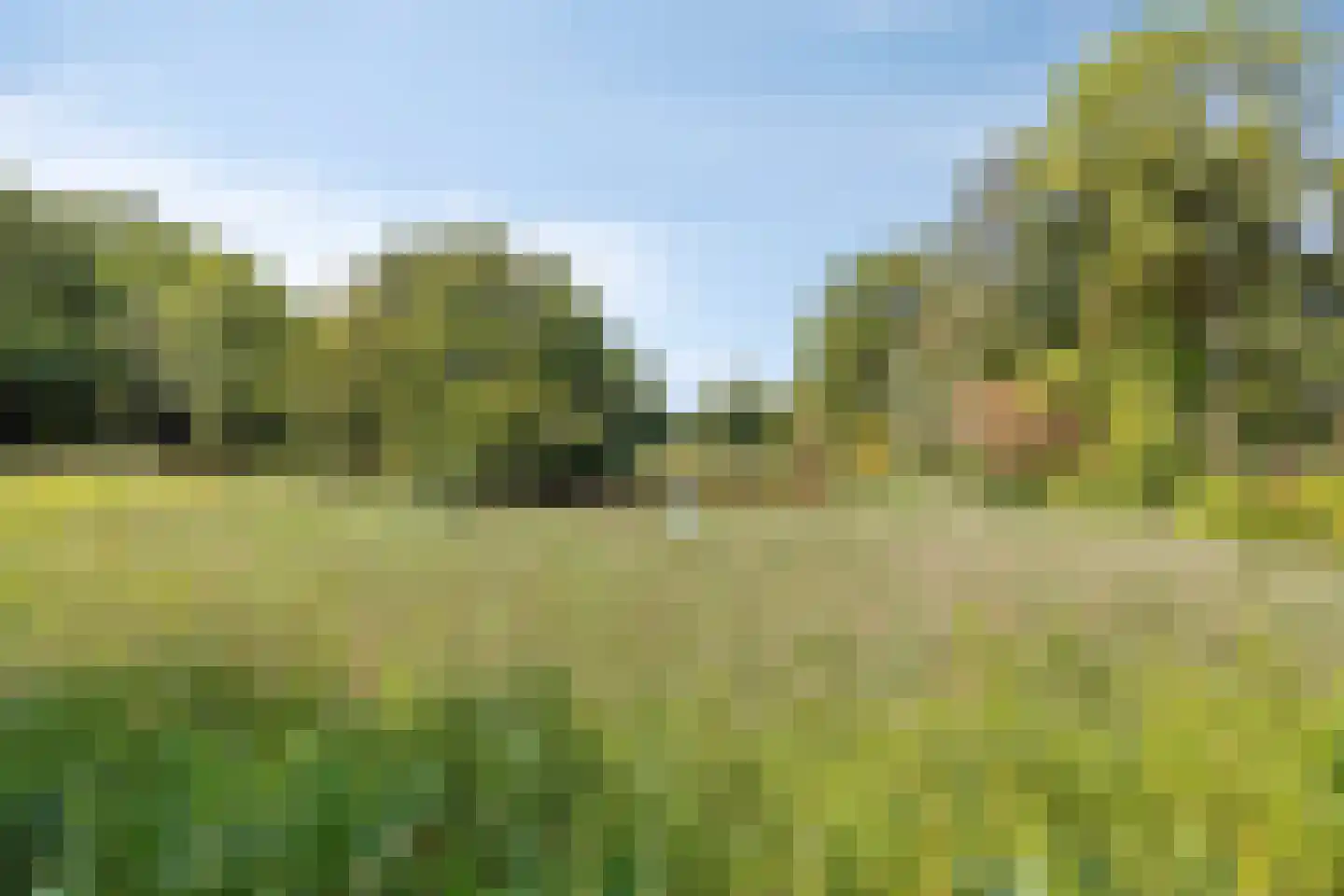 Zwanenlaan 10 Veere thumbnail 60