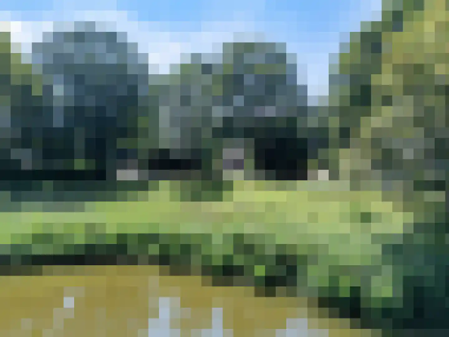 Zwanenlaan 10 Veere thumbnail 63