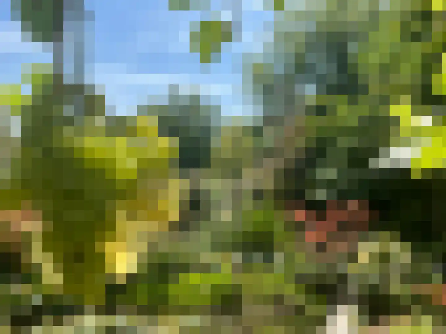 Zwanenlaan 11 Kamperland thumbnail 23