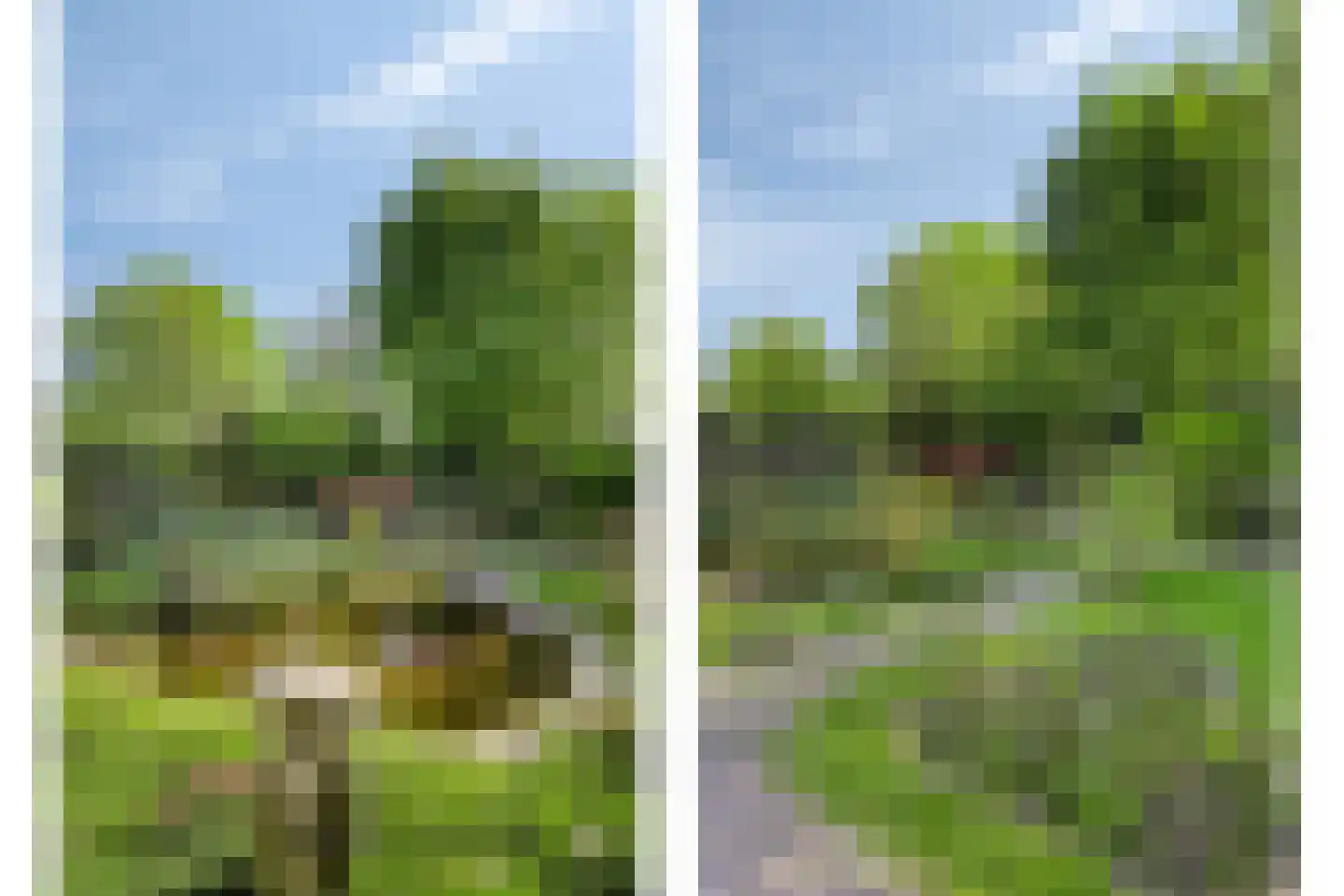 Zwanenlaan 11 Kamperland thumbnail 24