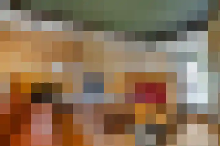 Zwanenlaan 13 Den Haag thumbnail 10