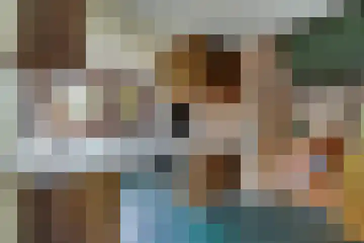 Zwanenlaan 13 Den Haag thumbnail 16