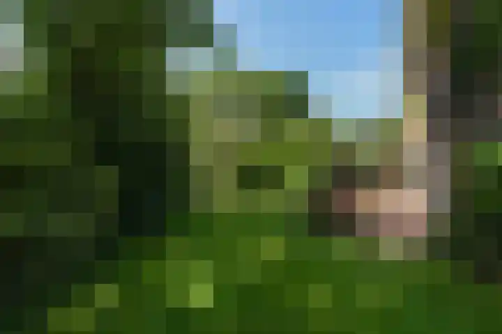 Zwanenlaan 13 Den Haag thumbnail 17