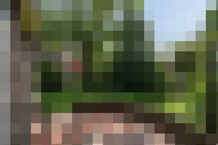 Zwanenlaan 13 Den Haag thumbnail 18