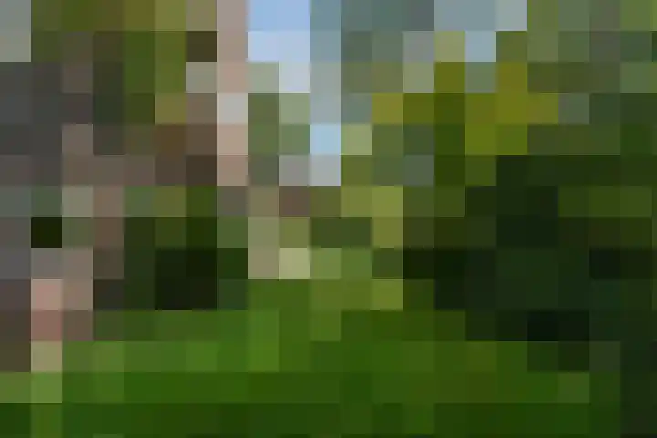 Zwanenlaan 13 Den Haag thumbnail 19