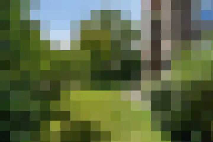 Zwanenlaan 13 Den Haag thumbnail 20