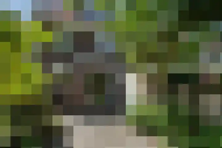 Zwanenlaan 13 Den Haag thumbnail 23