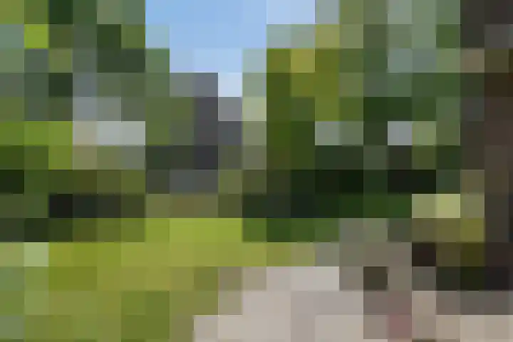 Zwanenlaan 13 Den Haag thumbnail 24