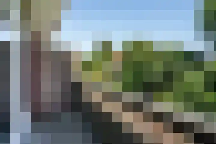 Zwanenlaan 13 Den Haag thumbnail 29