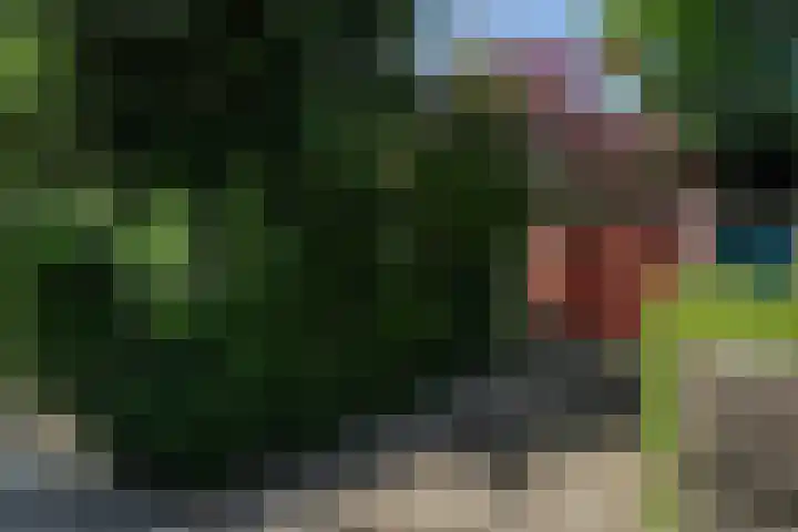 Zwanenlaan 13 Den Haag thumbnail 4