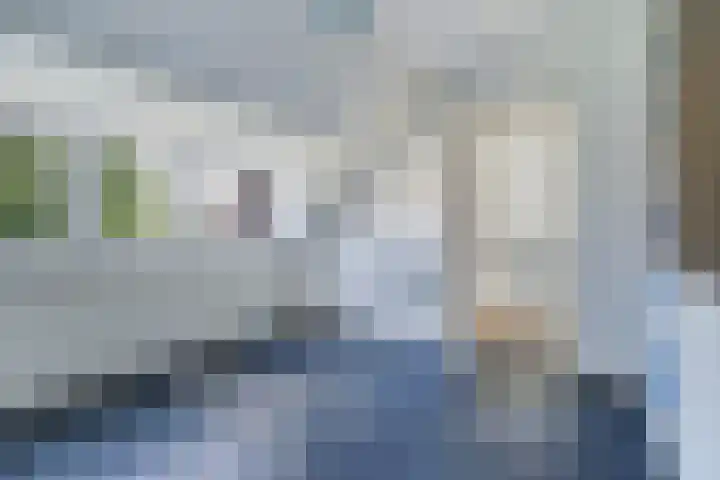 Zwanenlaan 13 Den Haag thumbnail 43
