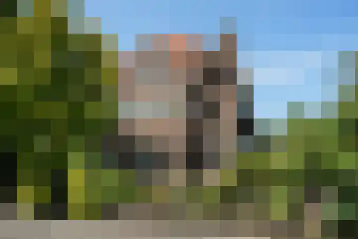 Zwanenlaan 13 Den Haag thumbnail 5