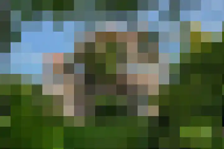 Zwanenlaan 13 Den Haag thumbnail 57