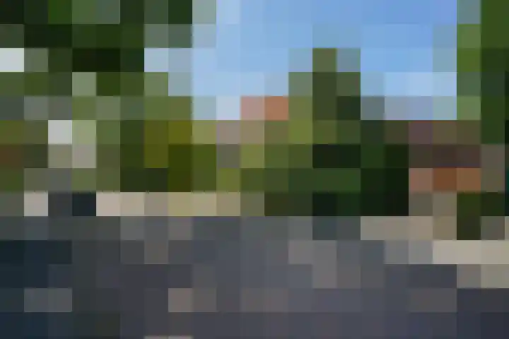 Zwanenlaan 13 Den Haag thumbnail 58