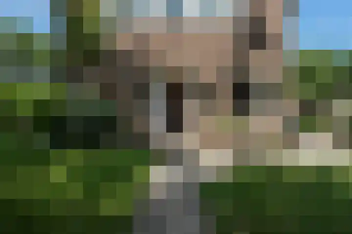 Zwanenlaan 13 Den Haag thumbnail 6