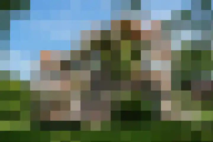 Zwanenlaan 13 Den Haag thumbnail 66