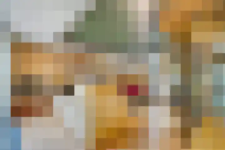 Zwanenlaan 13 Den Haag thumbnail 8