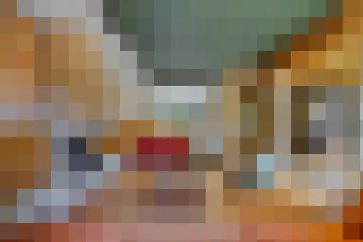 Zwanenlaan 13 Den Haag thumbnail 9