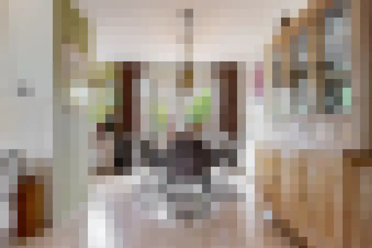Zwanenlaan 17 Ter Aar thumbnail 10