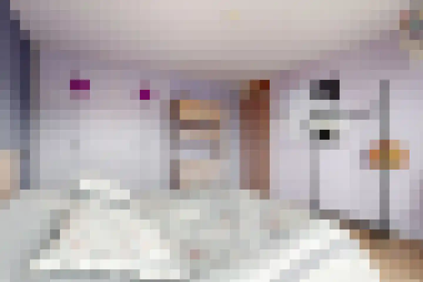 Zwanenlaan 17 Ter Aar thumbnail 15