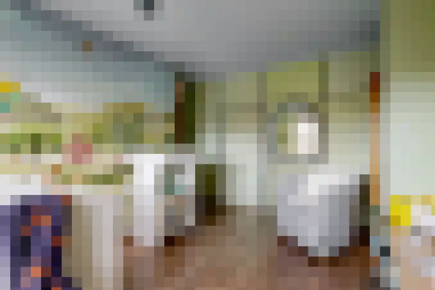 Zwanenlaan 17 Ter Aar thumbnail 18