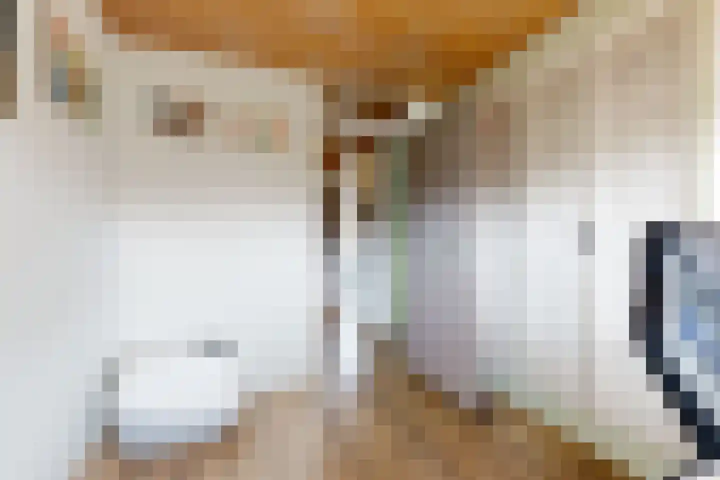 Zwanenlaan 17 Ter Aar thumbnail 20