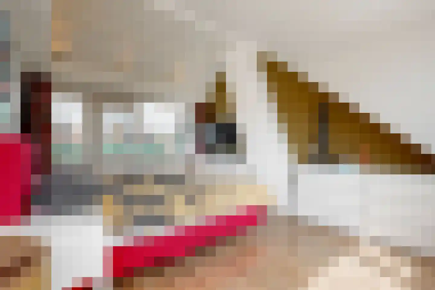 Zwanenlaan 17 Ter Aar thumbnail 23